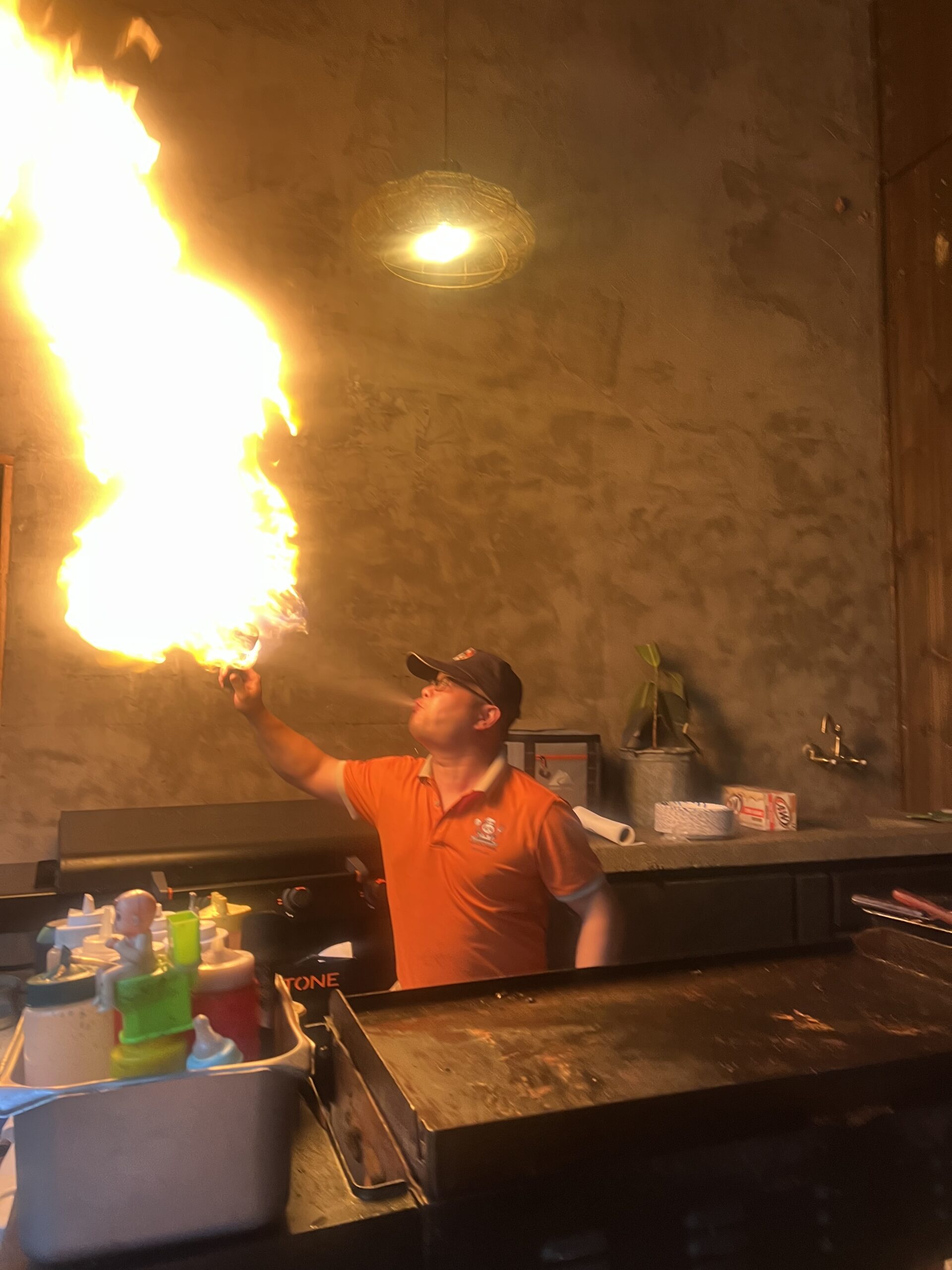 Backyard hibachi party with private chef in Mobile Alabama